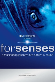 Forsenses: A Fascinating Journey Into Nature & Sound (2009)