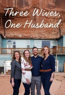 Three Wives, One Husband (2017–2017)