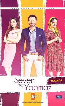 Seven Ne Yapmaz (2017–2017)