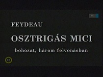 Osztrigás Mici (1996)