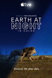 Földünk éjjel színesben (2020–)
