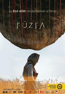 Fűzfa (2019)