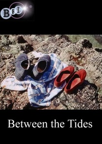 Between the Tides (1958)