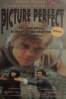 A tökéletes kép (1993)