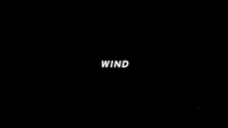 Wind (2007)