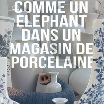 Comme un Elephant dans un magasin de Porcelaine (2017)