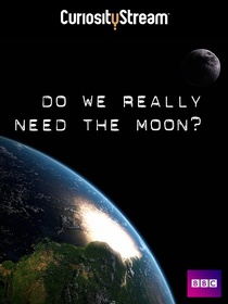 Mi szükségünk a Holdra? (2011)