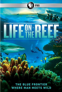 Élet a Nagy-korallzátonyon (2015–)