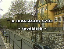 A hivatásos szűz (1986)