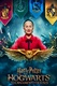 Harry Potter: Roxforti házak bajnoksága (2021–)