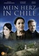 A chilei szív – Családi titkok (2008)