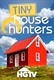 Házvadászok – apró otthonok (2014–)