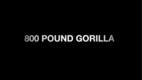 800 Pound Gorilla (2010)