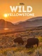Vad Yellowstone (2015–2015)