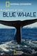 A kék bálnák királysága (2009)