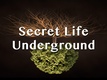 Titkos élet a föld alatt (2015–2015)