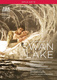 Swan Lake (2009)