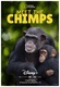 Csimpánzmenedék (2020–)