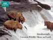 A földkerekség legnagyobb állatparádéja (1999)