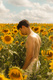 Sunflower (2023)