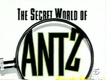 The Secret World of Antz (1998)