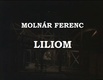Liliom (1983)