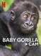 Gorillák élőben (2023–)