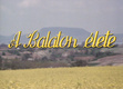 A Balaton élete (1989–)