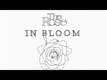 The Rose (더로즈) – In Bloom (2023–2023)