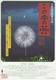Virágok az égben: A nagaokai tűzijáték története (2012)