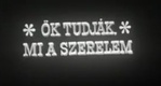 Ők tudják, mi a szerelem (1963)