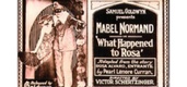 What Happened to Rosa (1920)