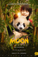 Moon, a panda (2025)