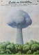 Erőd az őserdőben (1979)