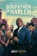 Godfather of Harlem (2019–)