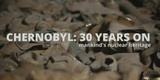 Csernobil 30 év távlatából (2015)