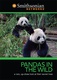 Pandas in the Wild (2012)