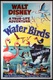Water Birds (1952)