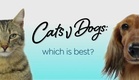 Kutya – macska párbaj: ki a jobb? (2016–2016)