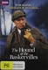 The Hound of the Baskervilles (1982–1982)