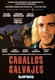 Caballos salvajes (1995)