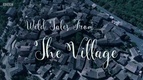 Wild Tales from the Village (2016)