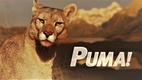 Puma! (2012)