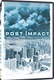 Deep impact 2. – A becsapódás után (2004)
