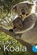 A koalák titkos élete (2016–2016)