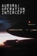 Intercept hadművelet (1995)