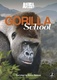 Gorillaiskola (2010–2011)