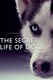 A kutyák titkos élete (2017–)