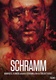 Schramm (1993)