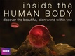 Az emberi test titkai (2011–2011)